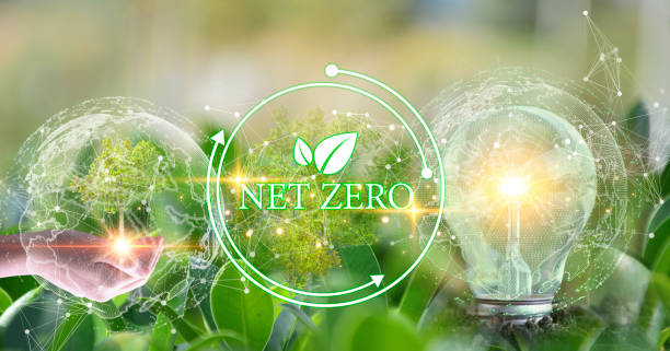 istock Concept to reduce global warming, increase green area clean air world,net zero 1875118910