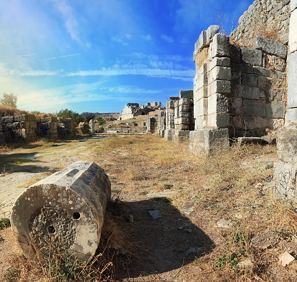 istock Miletus, Northern Agora - Panoramic 187512514