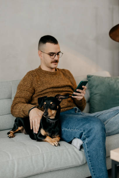 Man is using a mobile phone and petting his dog stock photo