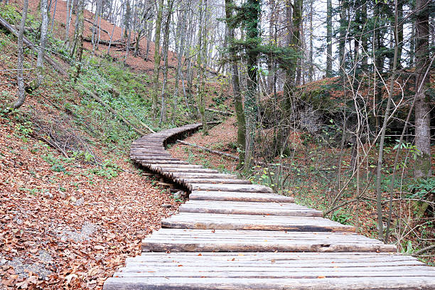 istock Wooden footpath in the forest 187512642