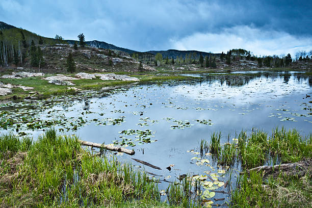 rocky mountain lake and sky a lake reflects the moody sky above with mountains on the horizon ridge with trees and grasses surrounding. such beautiful nature scenery can be found in the san juan range of the colorado, rocky mountains. horizontal wide angle composition taken near durango, colorado. lily lake rocky mountains colorado stock pictures, royalty-free photos & images