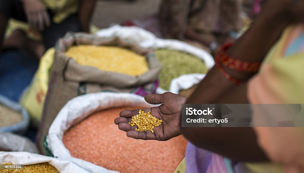 Seca las especias de la India - Foto de stock de India libre de derechos