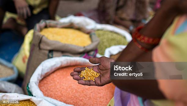 Seca Las Especias De La India Foto de stock y más banco de imágenes de India - India, Especia, Jengibre - Especia