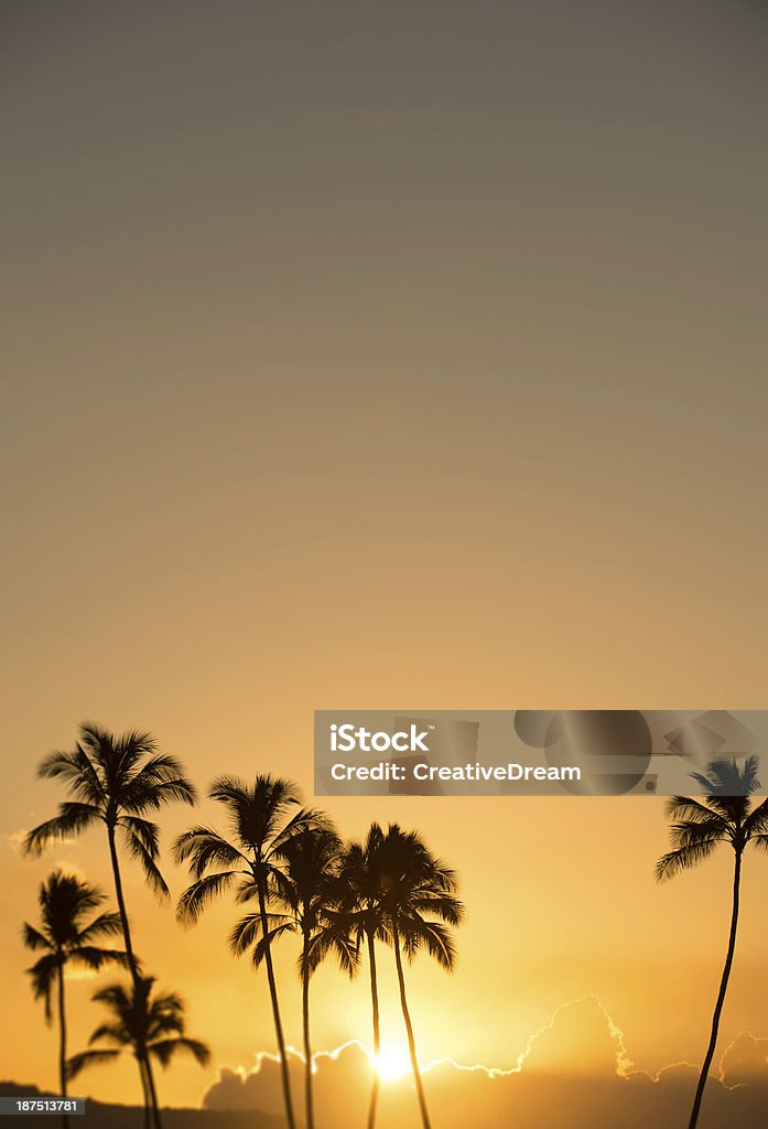 Puesta de sol en la costa norte, Hawai - Foto de stock de Actividad libre de derechos