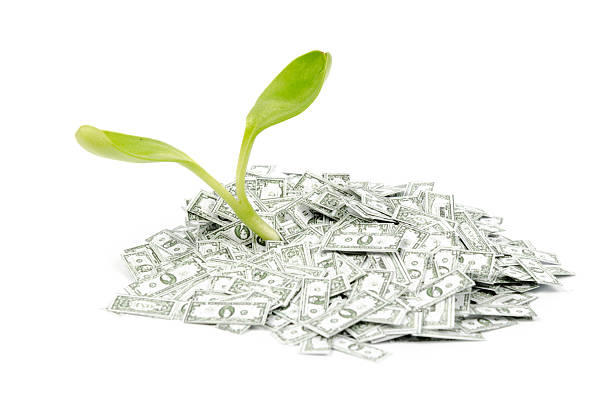 istock Seedling in a pile of Dollar notes 187514295