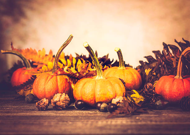 istock Autumnal Thanksgiving Arrangement 187514361
