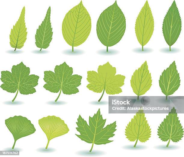 Verde Plant E Treeleafs - Arte vetorial de stock e mais imagens de Geometra papilionaria - Geometra papilionaria, Coleção, Cor verde