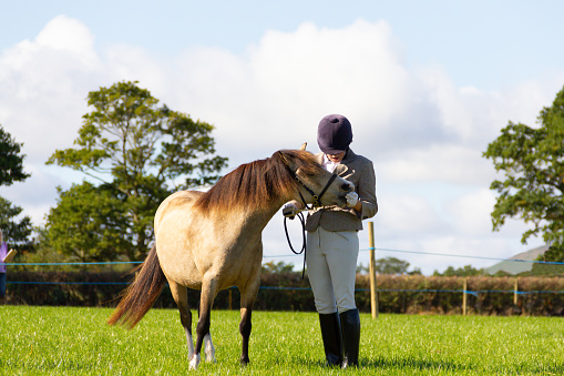 Smartly turned out young woman and her beautifully turned out pony stand together in exhibition ring in rural Shropshire after winning rosette in Agricultural Show.