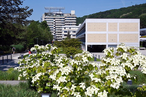 Campus of the Johannes Kepler University JKU in LInz with a blooming bush in the foreground, Upper Austria