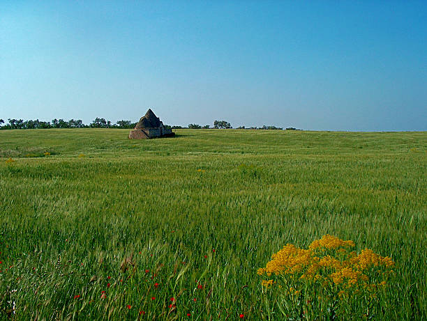 istock Agricultural landscape by Puglia. 187517503