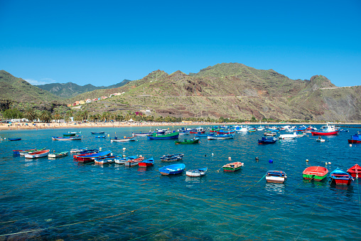 Fishing Boats At Santa Cruz De Tenerife, Gran Ganaria, Spain