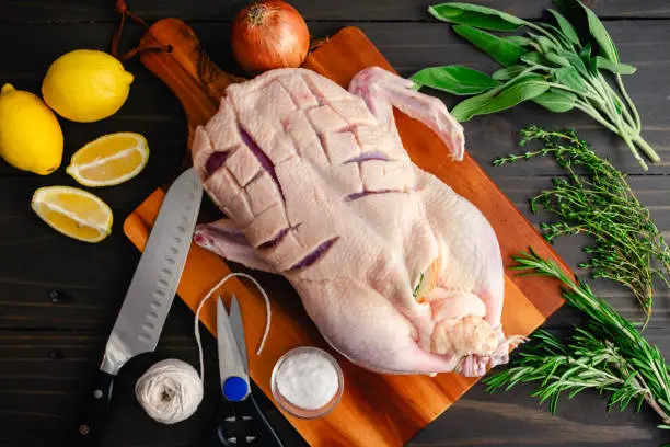 Raw stuffed, tied, and scored whole duck surrounded with fresh herbs, lemon wedges, and kitchen string