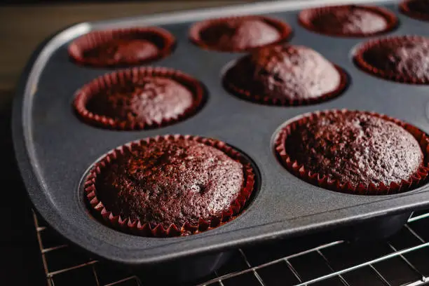 Close-up view of homemade chocolate cupcakes cooling in a non-stick muffin tin