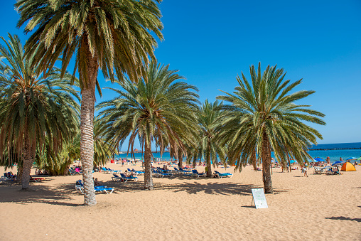 Amazing view of beach las Teresitas with yellow sand. Location: Santa Cruz de Tenerife, Tenerife, Canary Islands