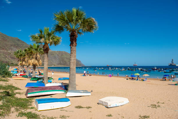 istock Beach Teresitas in Tenerife - Canary Islands 1875192769