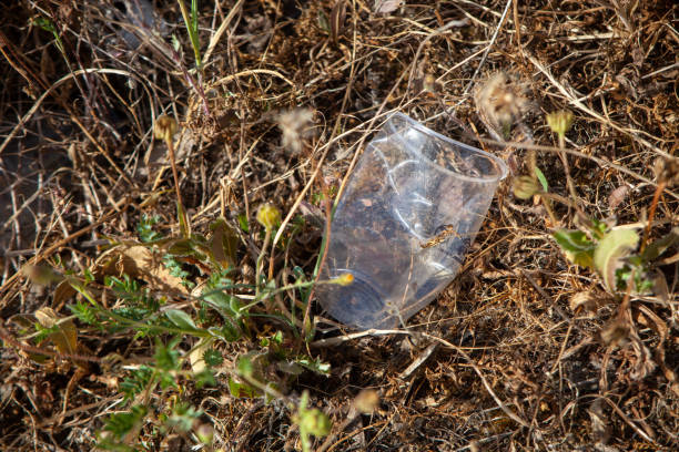 istock Plastic water bottles and cups littering. 1875200646