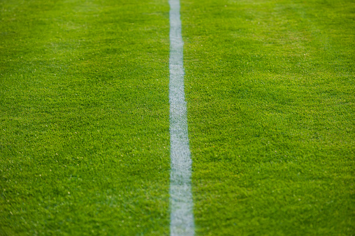 White stripe on a green football field. Web banner.