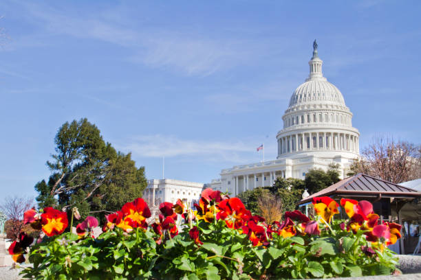 istock Capitol Building in Washington DC USA 1875217200