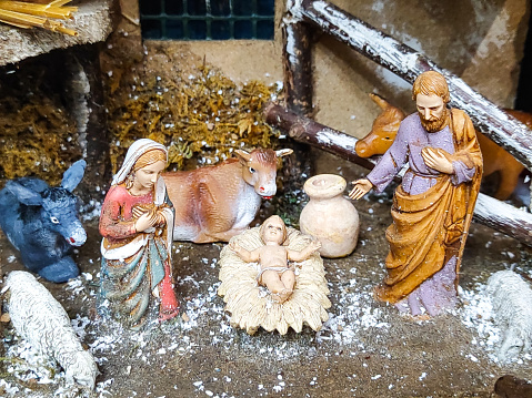 Immerse yourself in holiday magic with this heartfelt homemade scene. Mary, Joseph, baby Jesus, the mule, and sheep come to life, offering a corner of serenity in this unique celebration. Experience the wonder of Jesus' birth!