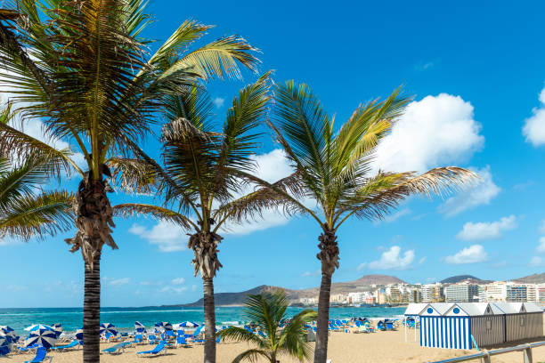 Promenade of Las Canteras Beach (Playa de Las Canteras) in Las Palmas de Gran Canaria, Canary island, Spain. 3km stretch of golden sand is the heart of Las Palmas. One of the top Urban Beaches.