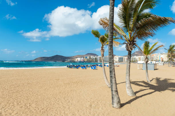 istock Las Canteras Beach in Las Palmas de Gran Canaria. 1875231445
