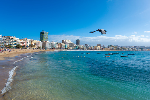 Promenade of Las Canteras Beach (Playa de Las Canteras) in Las Palmas de Gran Canaria, Canary island, Spain. 3km stretch of golden sand is the heart of Las Palmas. One of the top Urban Beaches.