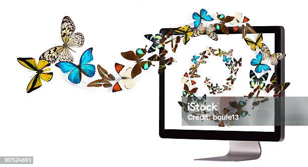 Butterfly Flying Out From Computer Stock Photo - Download Image Now - Animal, Backgrounds, Blue