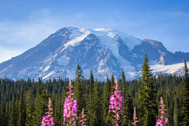 istock Reflection Lakes at the Mount Rainier National Park 1875250149