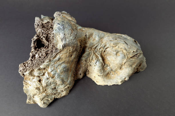 istock close-up of a solidified volcanic stone texture 1875272823
