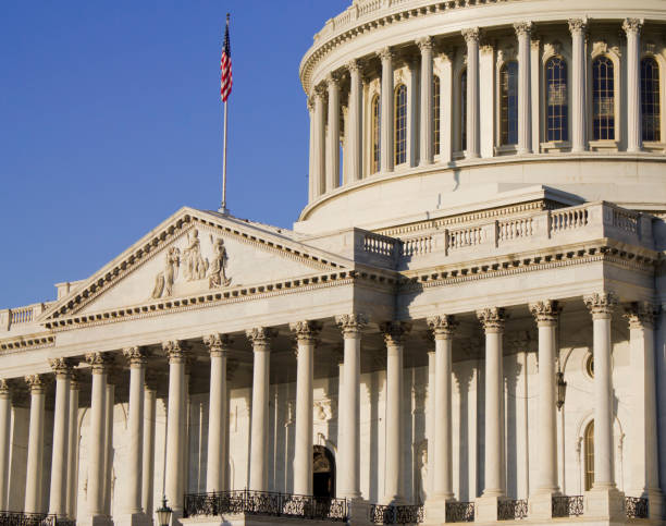 istock Capitol Building in Washington DC USA 1875275436