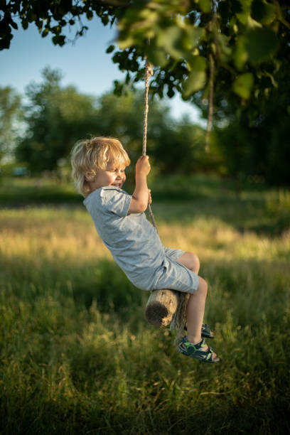 istock Summer in the countryside 1875301018