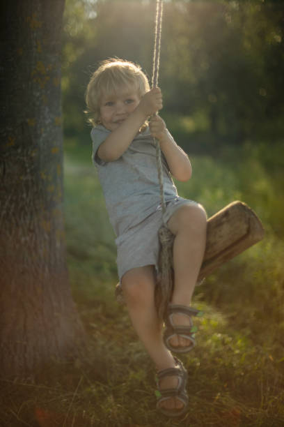 istock Summer in the countryside 1875302057