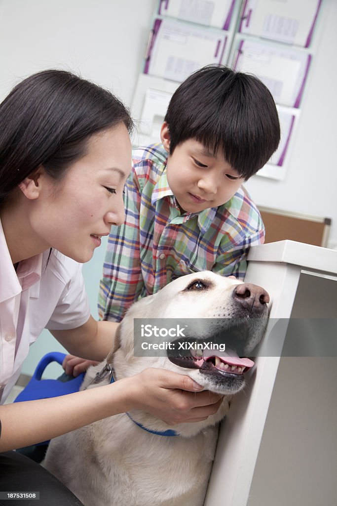 Menino com Cão pet no consultório veterinário - Royalty-free 25-29 Anos Foto de stock