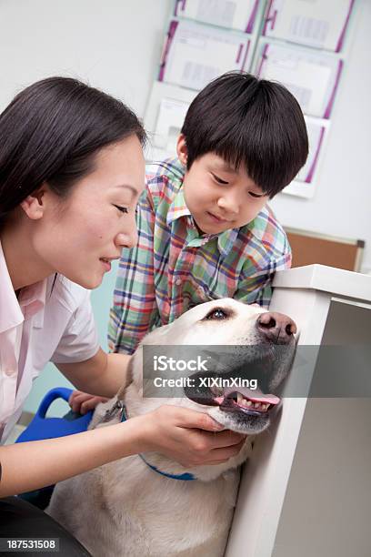 Menino Com Cão Pet No Consultório Veterinário - Fotografias de stock e mais imagens de 25-29 Anos - 25-29 Anos, 6-7 Anos, Acariciar