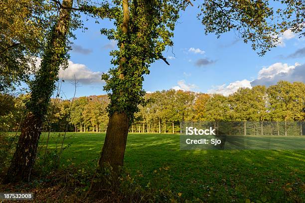 Veluwe Landscape Stock Photo - Download Image Now - Agricultural Field, Autumn, Day