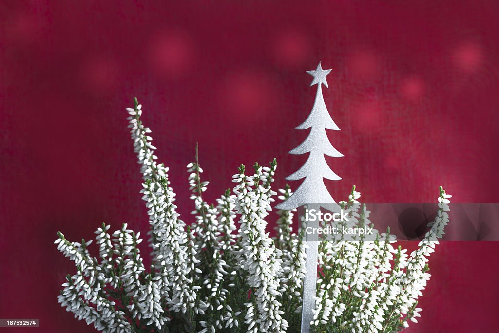 Navidad heather - Foto de stock de Adorno de navidad libre de derechos
