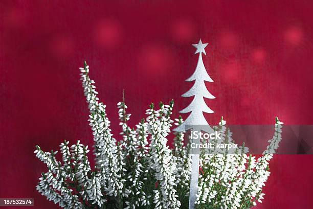 Navidad Heather Foto de stock y más banco de imágenes de Adorno de navidad - Adorno de navidad, Blanco - Color, Brezo