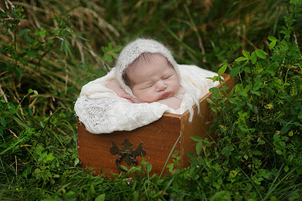 istock Sleeping Newborn Girl 187532918