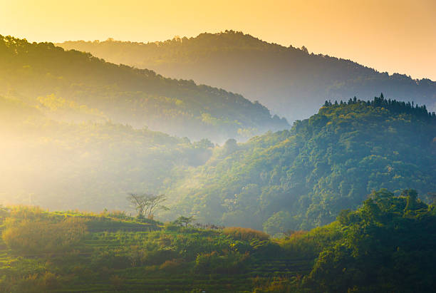 Beautiful sunshine at misty morning mountains at north thailand