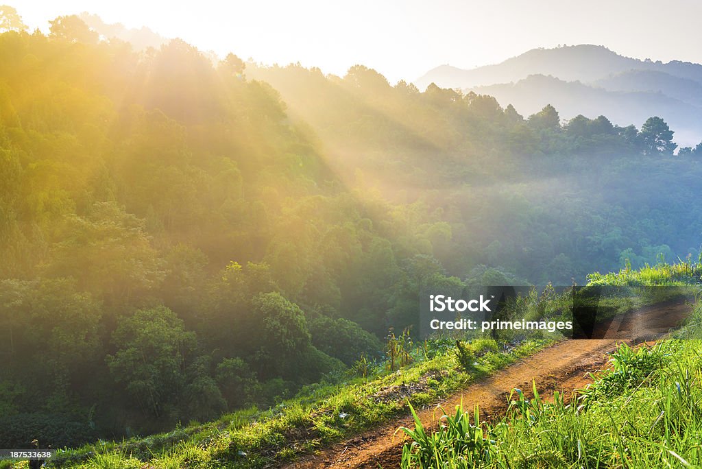 Hermoso sol a misty mañana a las montañas. - Foto de stock de Agricultura libre de derechos