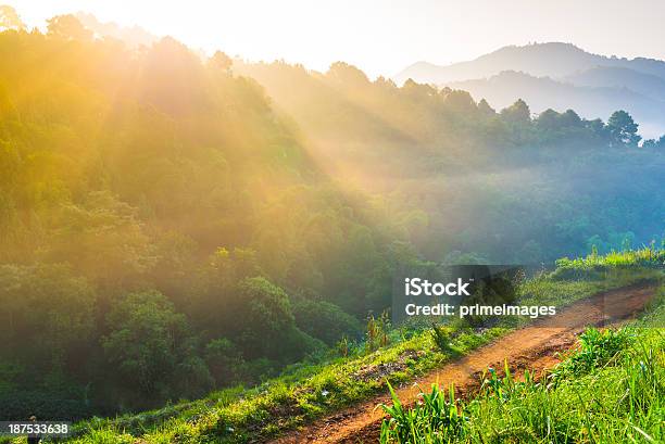 Hermoso Sol A Misty Mañana A Las Montañas Foto de stock y más banco de imágenes de Agricultura - Agricultura, Aire libre, Ajardinado