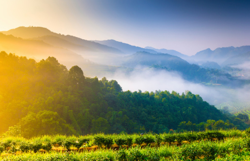 Beautiful sunshine at misty morning mountains at north thailand