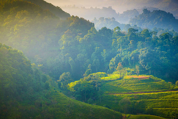 Beautiful sunshine at misty morning mountains at north thailand