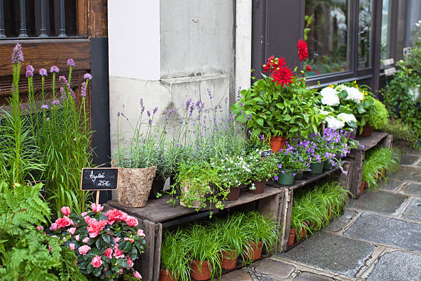 istock flower shop in Paris 187533880
