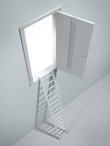 istock Ladder to the door 187535313