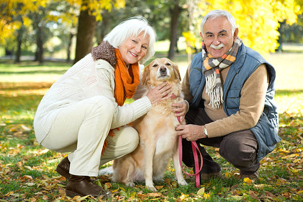 istock Senior couple walking their dog in park. 187536443