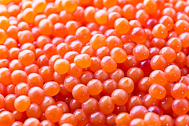 Salmon Roe Close up of salmon eggs. hatchery stock pictures, royalty-free photos & images