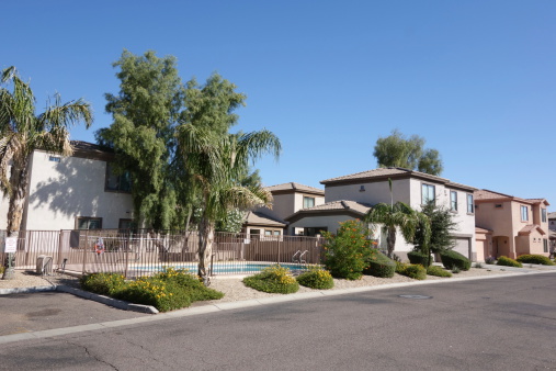 Public front yard decorated with desert heat tolerant plants and trees, Phoenix, AZ