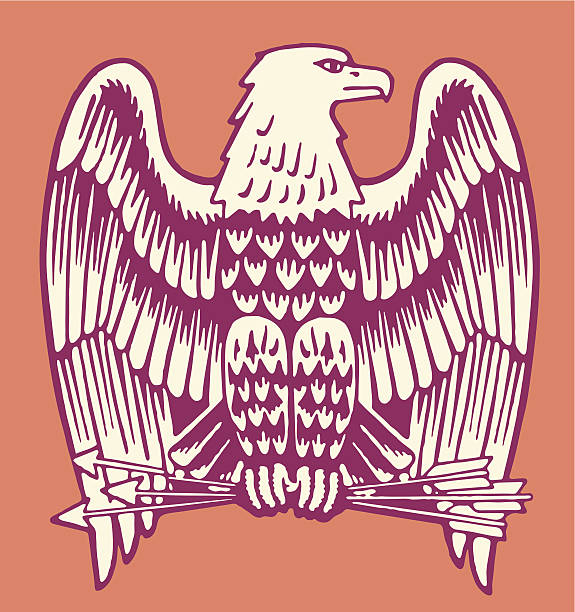 weißkopfseeadler mit drei pfeilen - adler stock-grafiken, -clipart, -cartoons und -symbole