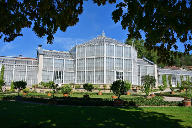 Palm house in Pillnitz Castle and Park in Dresden, Free State of Saxony